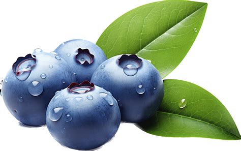 Blueberry png with AI generated. 33504510 PNG