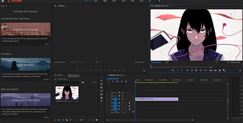 Adobe Premiere Pro破解版(视频后期制作)2024v24.1.0.85中文激活版-下载集