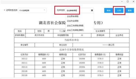 湖北省社保证明网上打印指南（个人专用）- 武汉本地宝