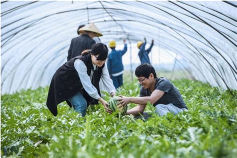 2020年惠州市农业创业青年培训班学员到访市现代农业综合示范基地