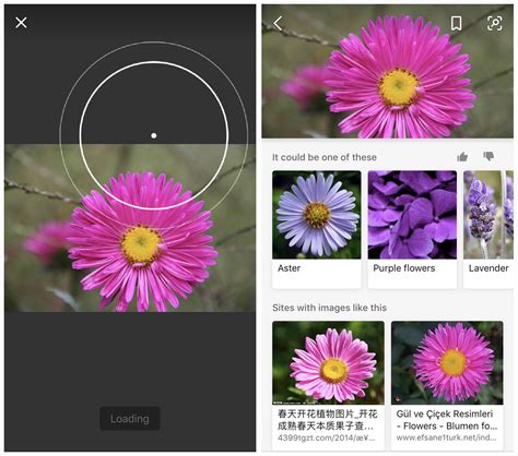 不用羡慕Google Lens，微软在Bing中也加入了AI视觉搜索的功能-Google Lens，AI视觉搜索，Bing|AI-鹿科技