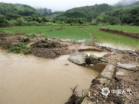 江西强降雨致多地受灾 农田被淹 房屋倒塌-天气图集-中国天气网