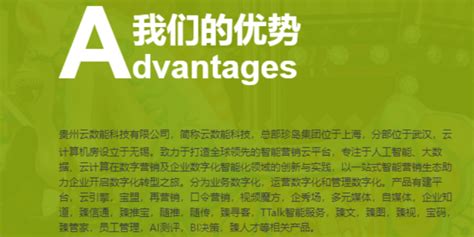 晴隆技术企业数字化有哪些 推荐咨询「贵州云数能科技供应」 - 武汉-8684网