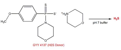 硫化氢供体GYY4137