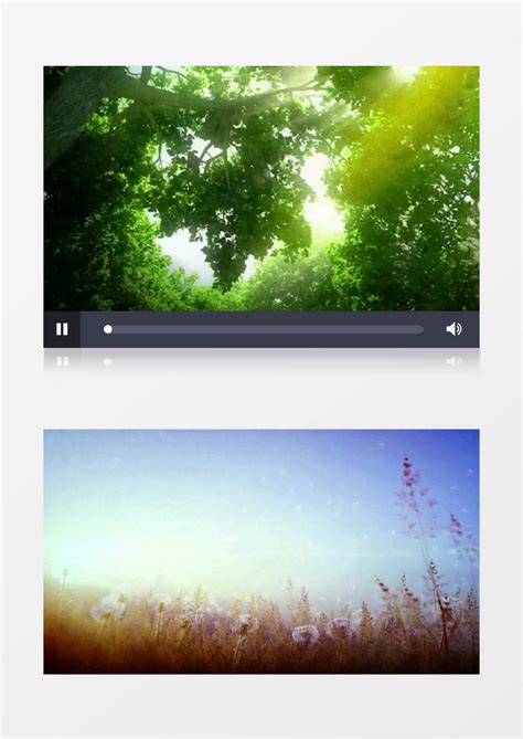 自然_清晨自然美景视频素材模板下载_图客巴巴
