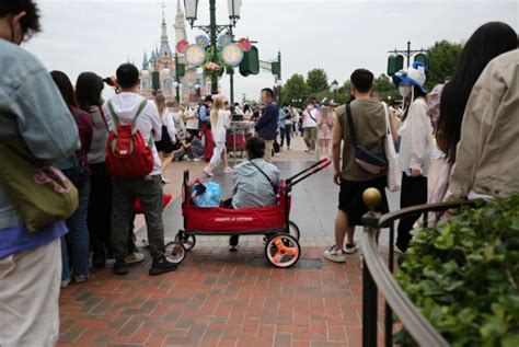 「攻略」2021年上海迪士尼乐园交通出行方式大全，请收好！ - 知乎