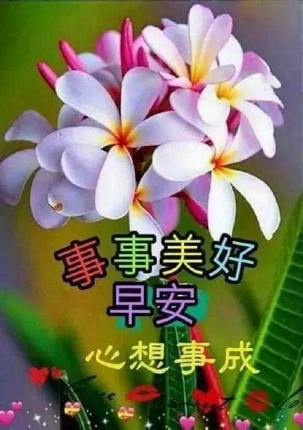 中午好大全图片