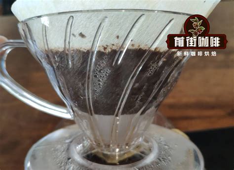 哪个国家猫屎咖啡豆最正宗？麝香猫咖啡手冲特点及故事 中国咖啡网