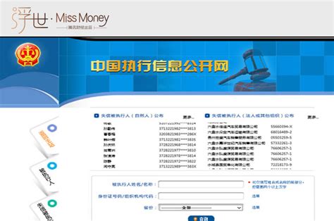 中国执行信息公开网 选择被执行人查询进行跳转