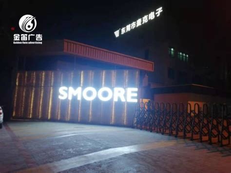 惠州LED平面发光字 户外平面发光字制作厂家-东莞市金笛广告有限公司