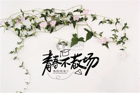 “青春终将散场唯独记忆永不腐朽”图片