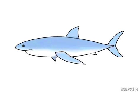 大白鲨简笔画怎么画 - 制作系手工网