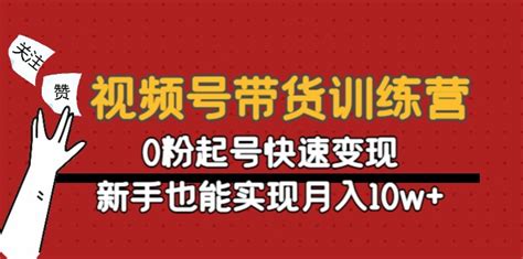 视频号带货训练营：0粉起号快速变现，新手也能实现月入10w+_阳叔网创