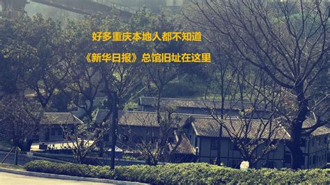 重庆金海湾公园游玩指南（地点+交通指南+游玩推荐）- 重庆本地宝