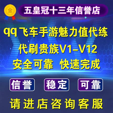 【贵族V13】QQ飞车手游贵族积分代刷安卓苹果魅力值代练提升V12-淘宝网