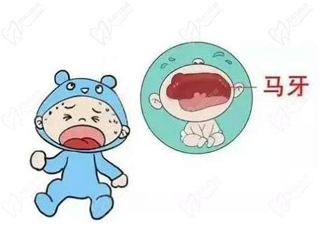 马牙子图片