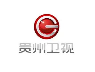 贵州电视台标志logo设计理念和寓意_影视logo设计思路 -艺点创意商城
