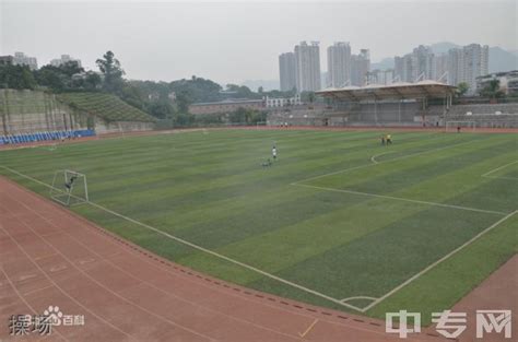 重庆凤鸣中学,凤鸣中学,重庆沙坪坝凤鸣中学(第2页)_大山谷图库