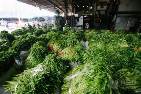 图集｜武汉人的菜篮子如何保障？记者实拍蔬菜供给一线 | 每经网
