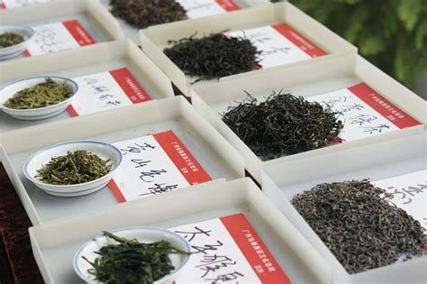 一斤绿茶7.8万 茶博会上惊现天价茶 - 长江商报官方网站