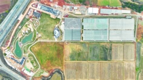 元宇宙·VR数字农业示范基地建设收尾 - 红谷滩区人民政府