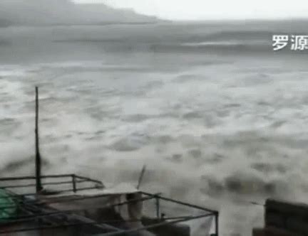“泰利”携大风袭向黄海 这些年影响青岛的台风你记得几个 - 青岛新闻网