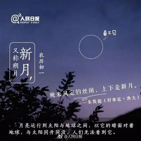 涂山红红✘东方月初