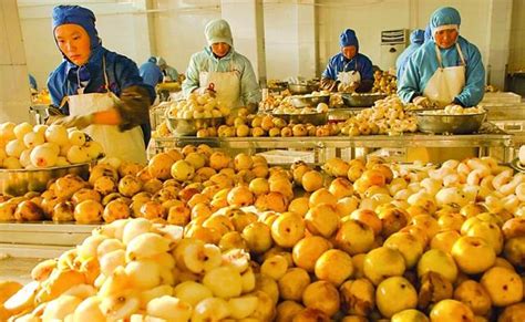 宁夏多项举措支持农产品加工业提档升级 - 各地产经 - 中国产业经济信息网