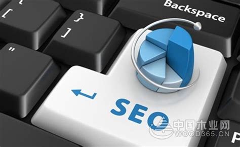 网站seo的主要优化内容（网站外链优化方案）-8848SEO