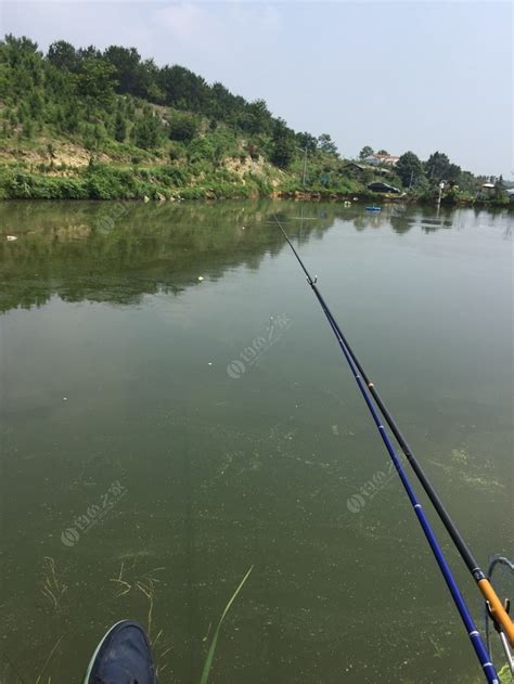 10月底红水河之行，嗨皮 - 钓鱼之家