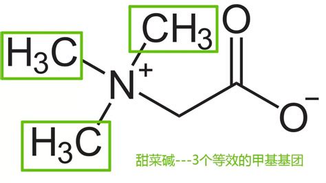 M. C. White组《自然》：杂环化合物的选择性α-C-H键氧化甲基化 - 博诺康源（北京）药业科技有限公司
