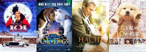 关于狗狗的电影有很多，讲述“史上第一只狗”的电影你看过吗？_阿尔法