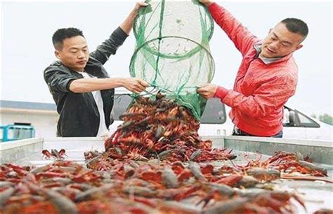 2013年水产品批发市场运行情况-中国鳗鱼网