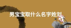刘姓男宝宝取名大全2022年 寓意好的刘姓名字-起名网