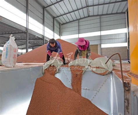 贵州黔西：小企业促农业产业结构大调整-人民图片网