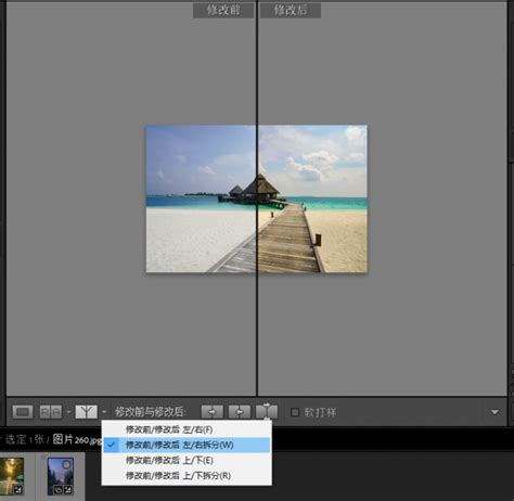 lr怎么将图片导出为视频-lightroom将图片素材导出为视频格式的方法教程 - 极光下载站