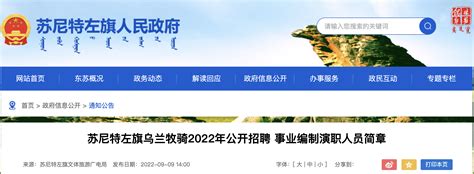 深圳市宝安区监察局关于公开选调公务员和招聘雇员的公告