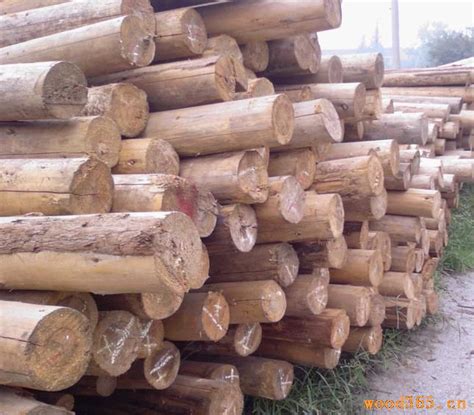 香杉木 - 木材圈