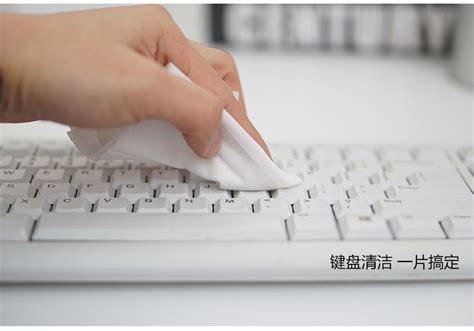 日本SANWA液晶屏湿纸巾电脑清洁键盘去污清洁10/50/80抽擦屏湿巾_虎窝淘