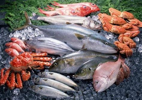 夏季吃海鲜的7个禁忌，如果你还不知道的话，赶紧看看这个！__财经头条
