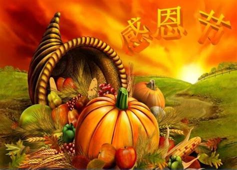 感恩节：盘点这些年“中国式”感恩教育
