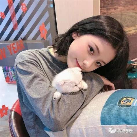 女生温柔头像猫猫熊