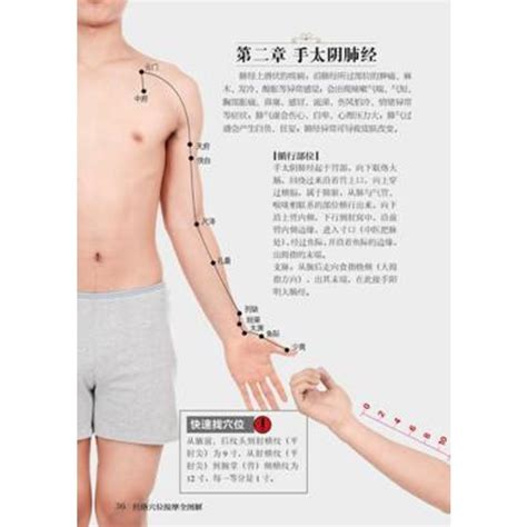 人体刮痧经络图解图片 人体刮痧经络图解图片