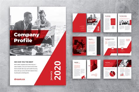 企业成功案例/企业简介画册设计模板 Company Profile - 16图库素材网