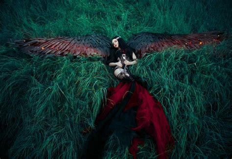 美丽的黑翼天使图片-躺在草地上的黑翼天使素材-高清图片-摄影照片-寻图免费打包下载