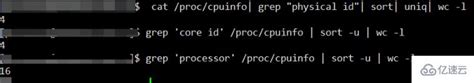 如何查看自己主机的处理器是几核多少线程_怎么看cpu是几核几线程-CSDN博客