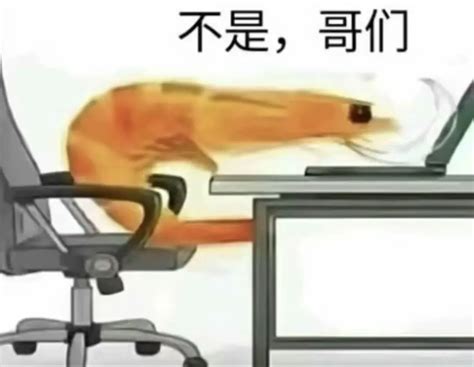 查看源图像