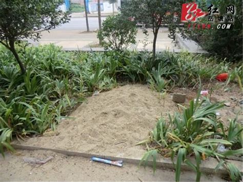 实拍百年沙子口大集 雨水浇不去的浓浓年味(图) - 青岛新闻网
