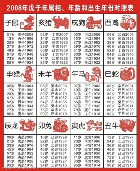生肖表图图片