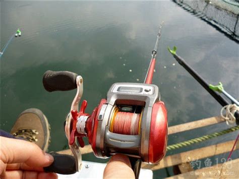 常见渔具的种类和使用技巧（中）_钓鱼人必看